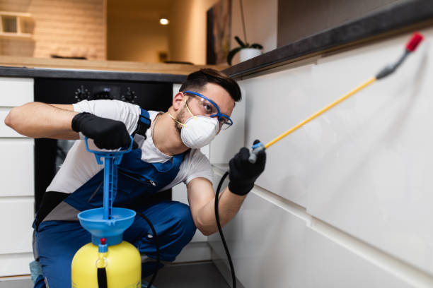 Best Mosquito Control Services  in Cherryville, NC