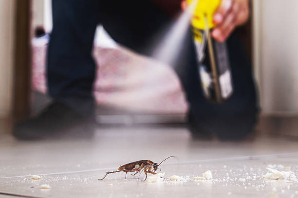 Best Insect Control  in Cherryville, NC