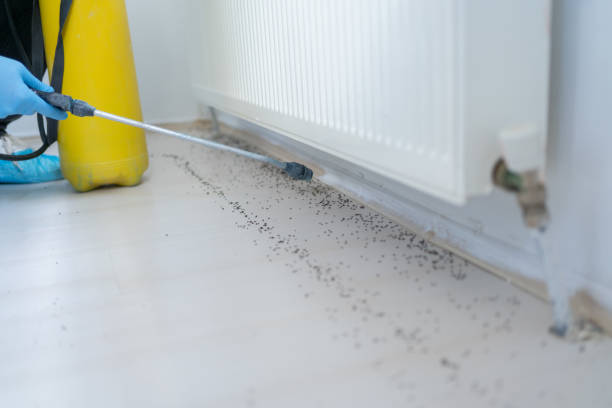 Best Affordable Pest Control Services  in Cherryville, NC