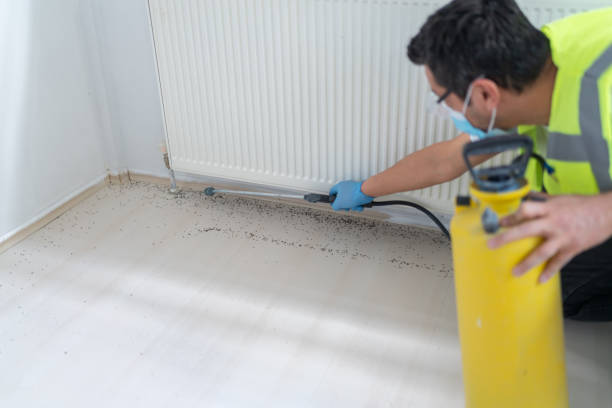 Reliable Cherryville, NC Pest Control Solutions