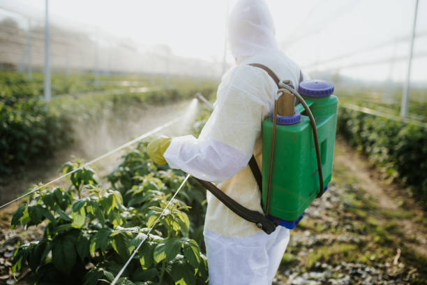 Best Commercial Pest Control Services  in Cherryville, NC